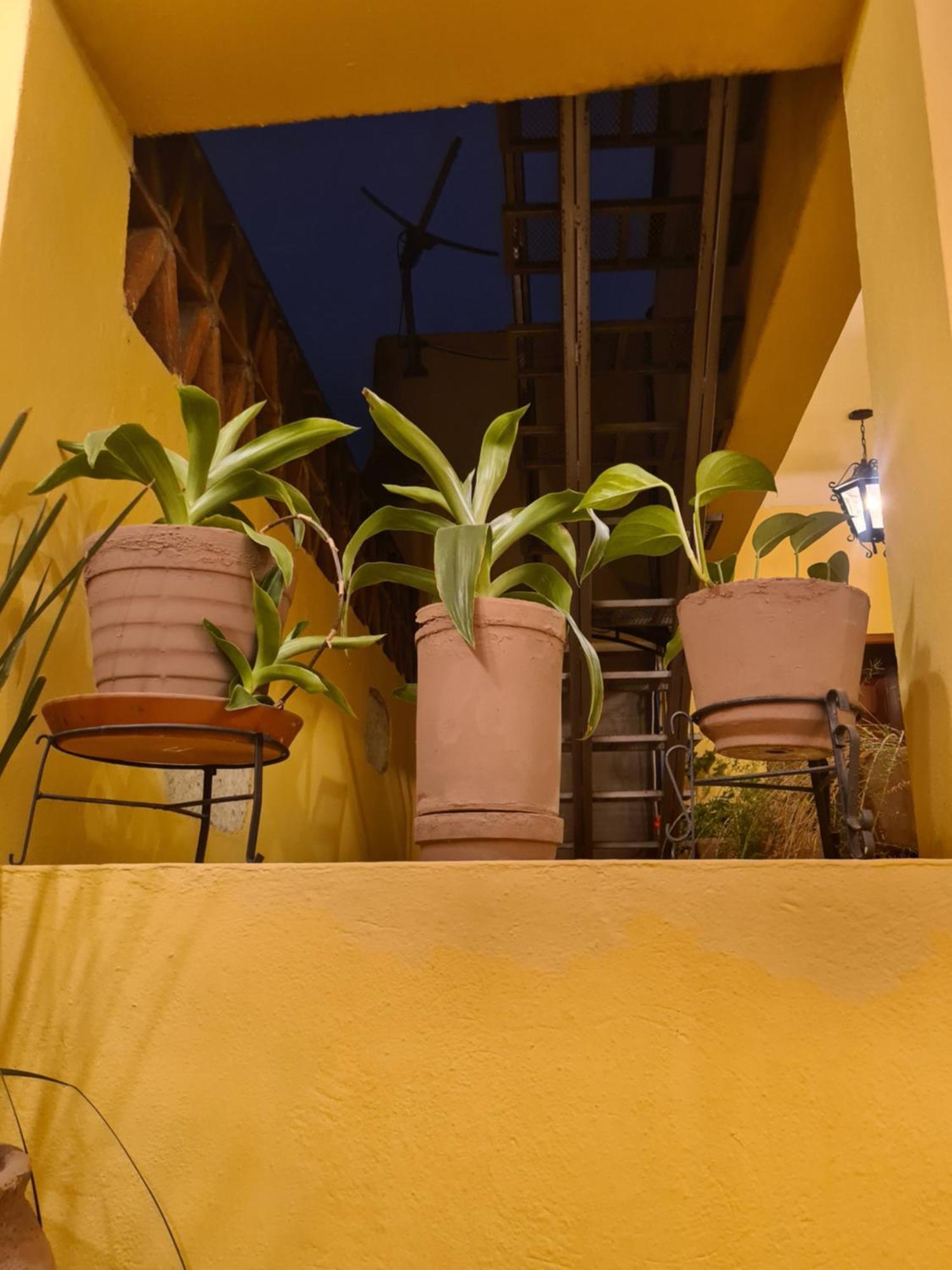 Hotel Casa Divina Oaxaca Esterno foto