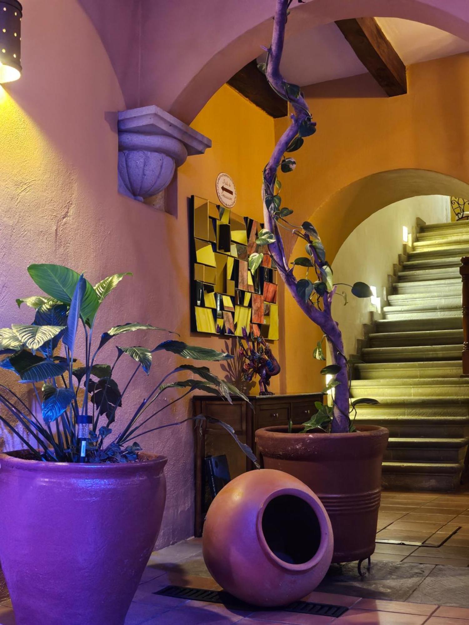 Hotel Casa Divina Oaxaca Esterno foto